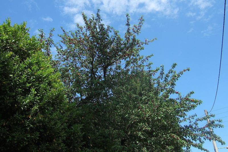 2011-05- (618).JPG - Der Wind hat wieder klar Schiff gemacht - die Gewitterwolken sind verschwunden